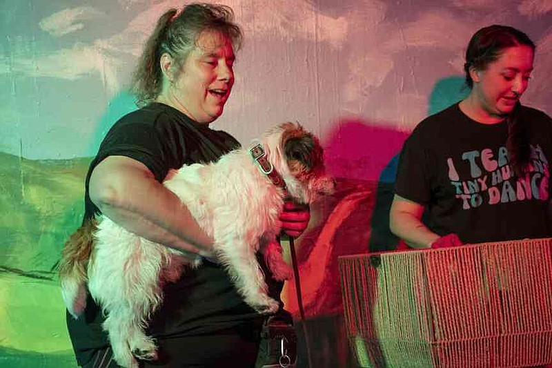 Sun Rizzo Veteran four-legged actor plays Toto in ‘Oz’ | The Arkansas Democrat ...