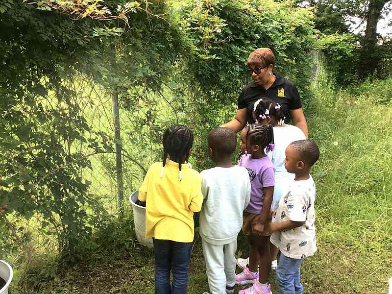 UAPB Associate Professor Karleah Harris teaches Forrest Park/Greenville Preschool students about gardening. (Special to The Commercial/University of Arkansas at Pine Bluff)
