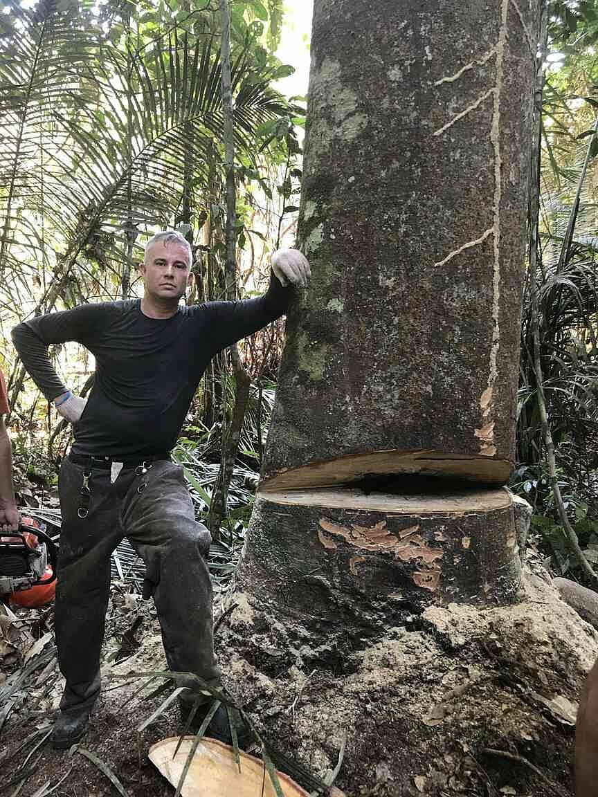 UAM welcomes forestry professor