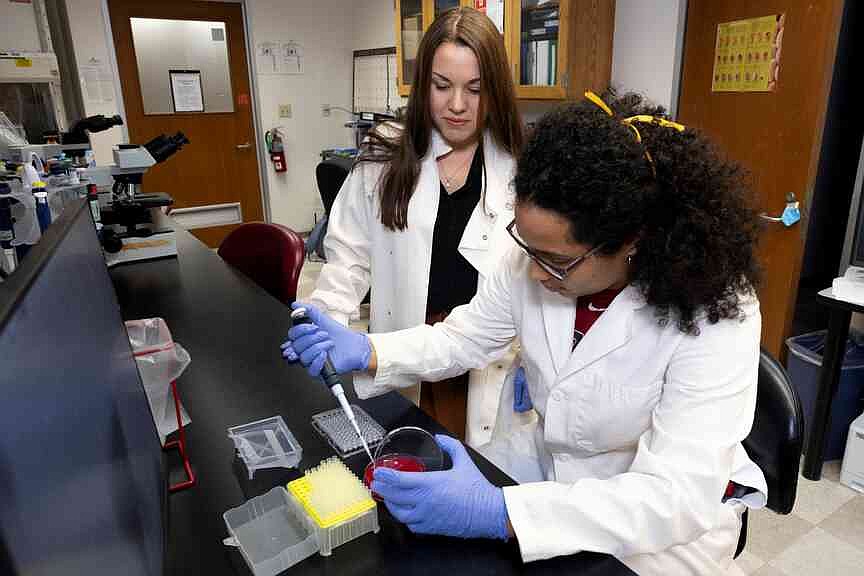 Poultry scientists say probiotics can disinfect hatch cabinets, help protect chicks