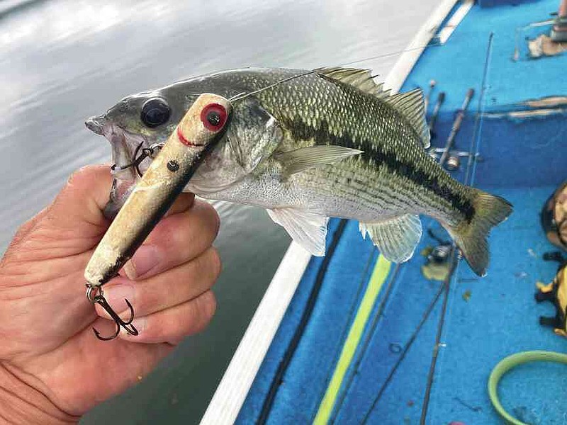 26 fs regulator boat no fish box 2023 Regulator 26