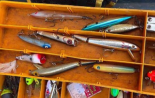 Top-water lures come in all sizes, styles, and colors. (NWA Democrat Gazette/Flip Putthoff)