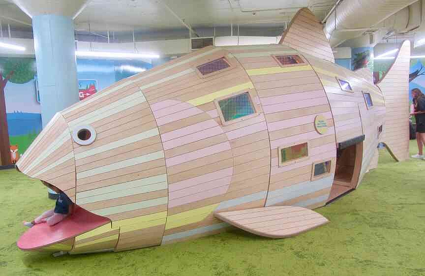 ARKANSAS SIGHTSEEING: Small Fry Fish Camp, Curiosity Spot and Sensory Cove join...