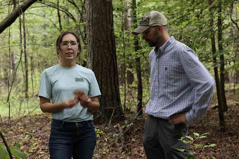 Associate professor of forest health Laura Sims, left, and her team have been monitoring and identifying outbreaks of brown spot needle blight across the Southern region with a focus on Arkansas. In this September 2024 photo, Sims is shown with Jacob Hackman, extension forestry specialist for the University of Arkansas System Division of Agriculture, discussing fungi found on the forest floor. (Special to The Commercial/Traci Rushing/University of Arkansas System Division of Agriculture)
