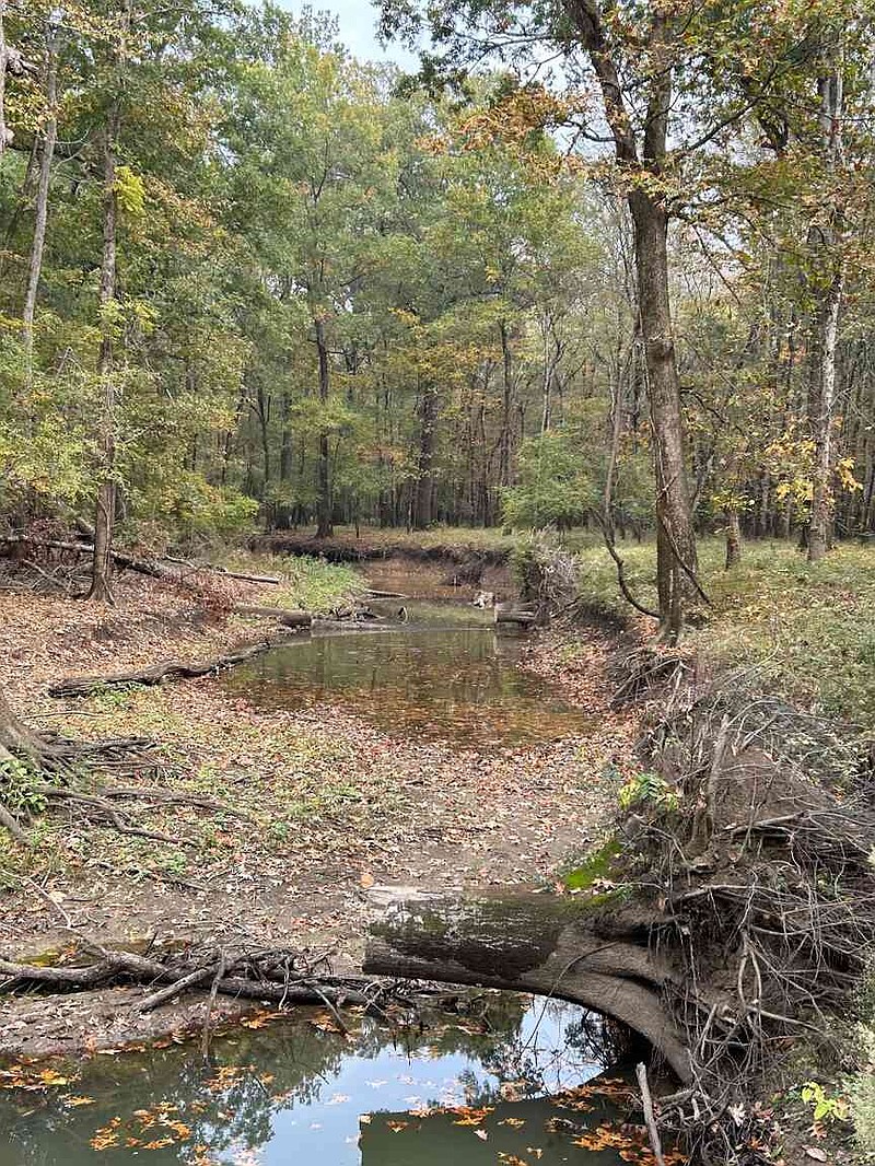 One of the most popular boat lanes at Bayou Meto was cleared in 2024 with the assistance of volunteers during the Wildlife Management Area workday there. (Special to The Commercial/Arkansas Game and Fish Commission)