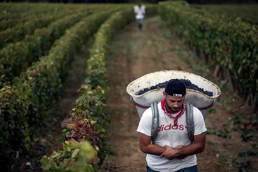 EU proposes protections for farmers
