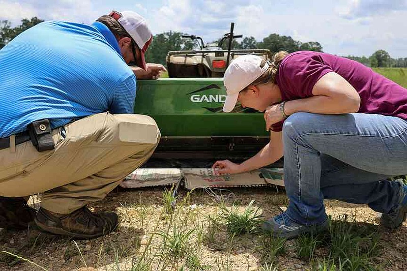 Extension forage specialist Jonathan Kubesch and Assistant Professor Katy Dick are shown calibrating the seeder in this file photo. (Special to The Commercial/University of Arkansas System Division of Agriculture)