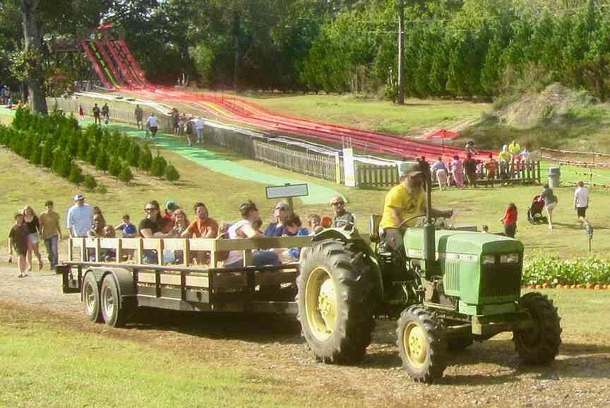 ARKANSAS SIGHTSEEING: Pumpkin patch farms abound for seasonal decor and entertainment | Northwest Arkansas Democrat-Gazette