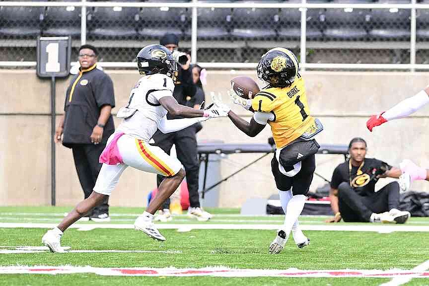 UAPB falls to Grambling after weather delay