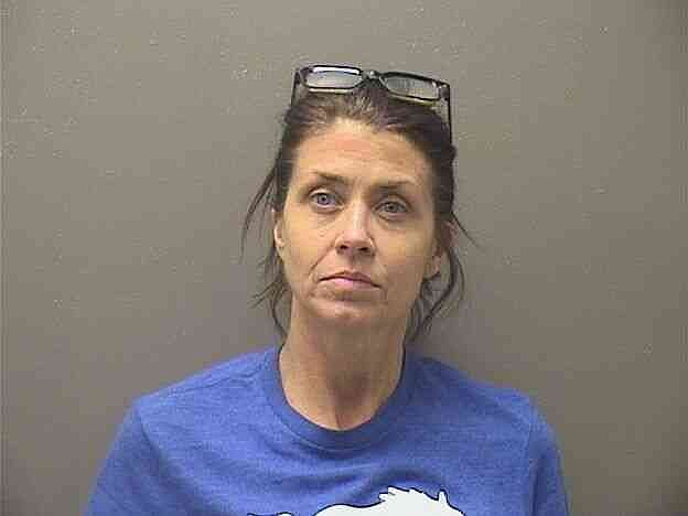 Garland County woman arrested after K-9 alerts on truck during traffic ...