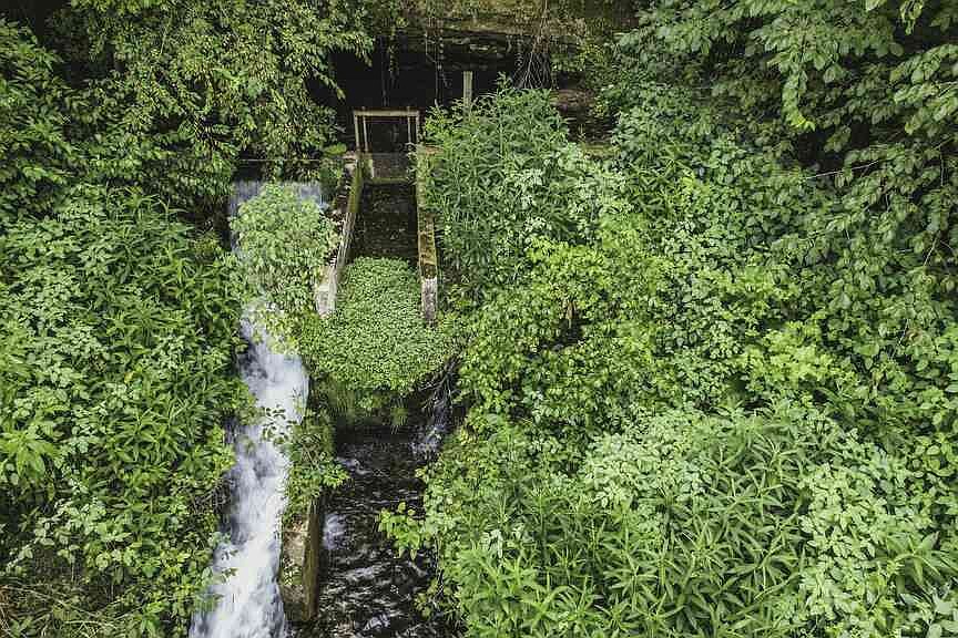 Researchers publish imagery study results