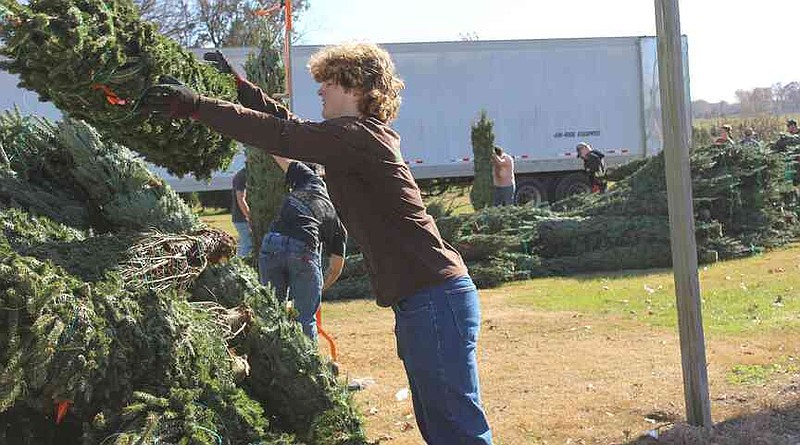 Wonderland Christmas Tree Farm opens for season | The McDonald County Press