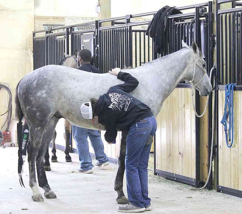 Pea Ridge youth competes in National Finals Rodeo | Pea Ridge Times