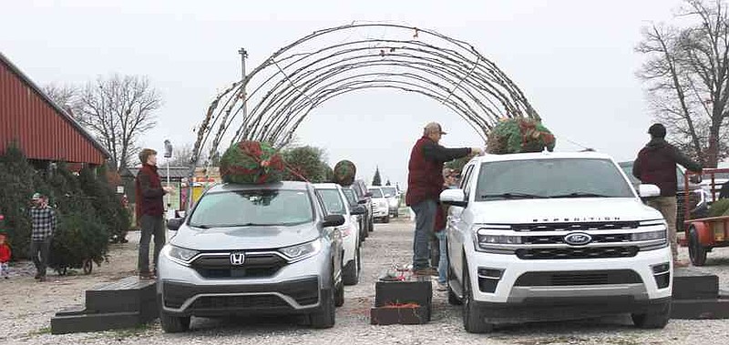 Wonderland Christmas Tree Farm hires local youths | The Herald Leader
