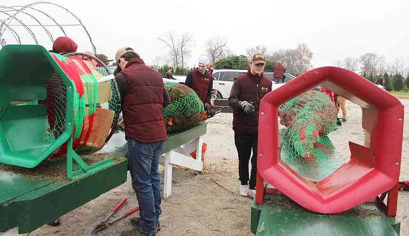 Wonderland Christmas Tree Farm hires local youths | The Herald Leader