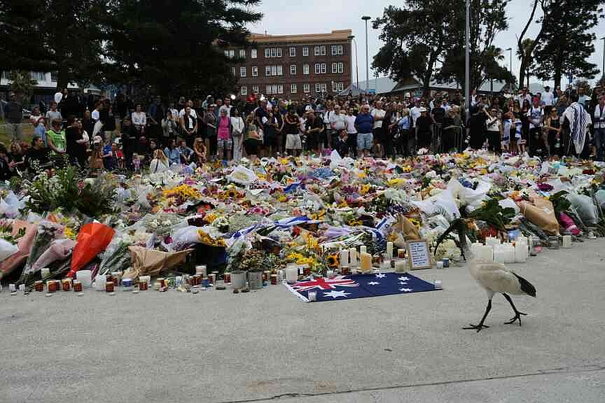 Australia to revamp its gun laws after shooting