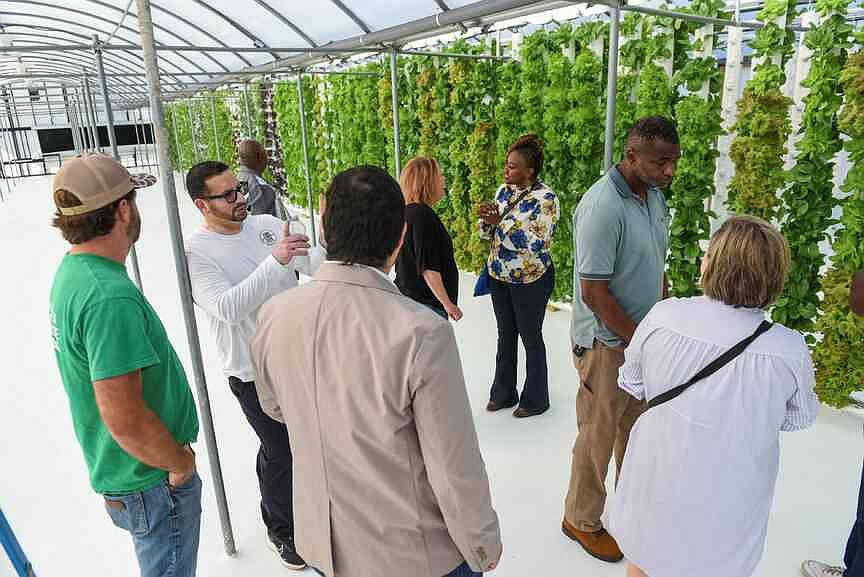 UA-Monticello gets $100,000 grant for project on vertically farming potatoes, rice