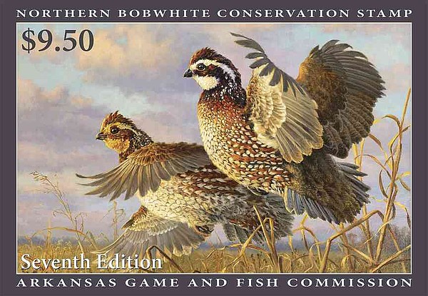 Broche Ou Aimant Réfrigérateur Oiseau Bobwhite Quail - En étain (pewter), Multicolore, Fabriqué Aux USA, Neuf Sous Emballage