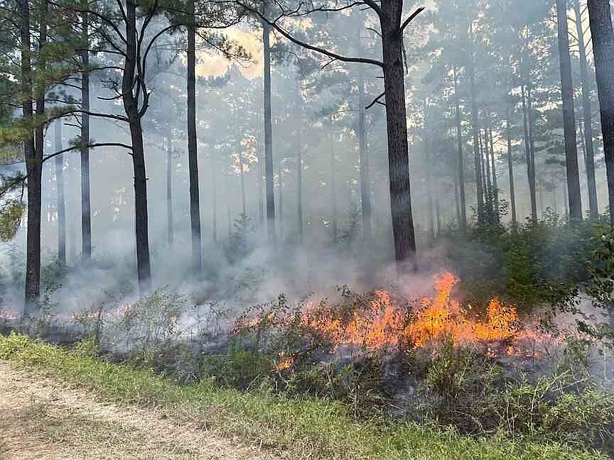 Arkansas Game and Fish Commission taking applications for Conservation Incentive Program