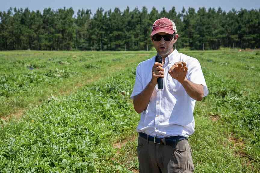 Scientists assess food waste use as compost