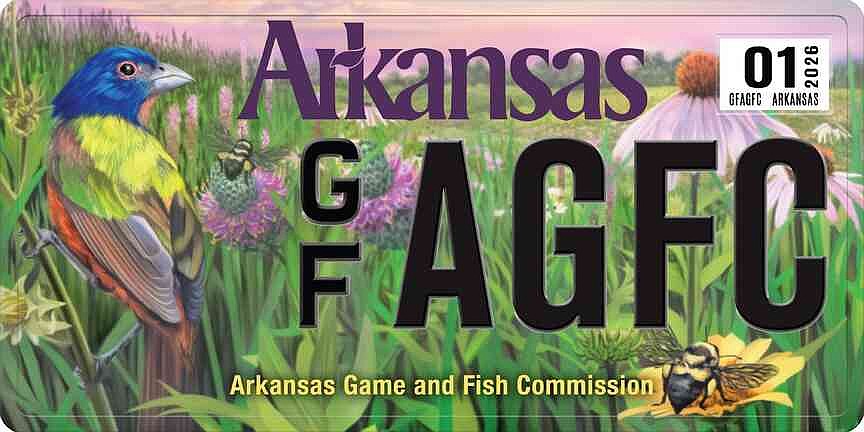 Arkansas Game and Fish Commission’s conservation plate features painted bunting