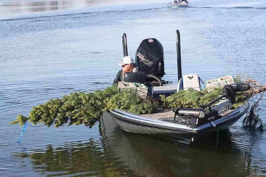 Fishing pond habitats are beneficial to production, angling efficiency