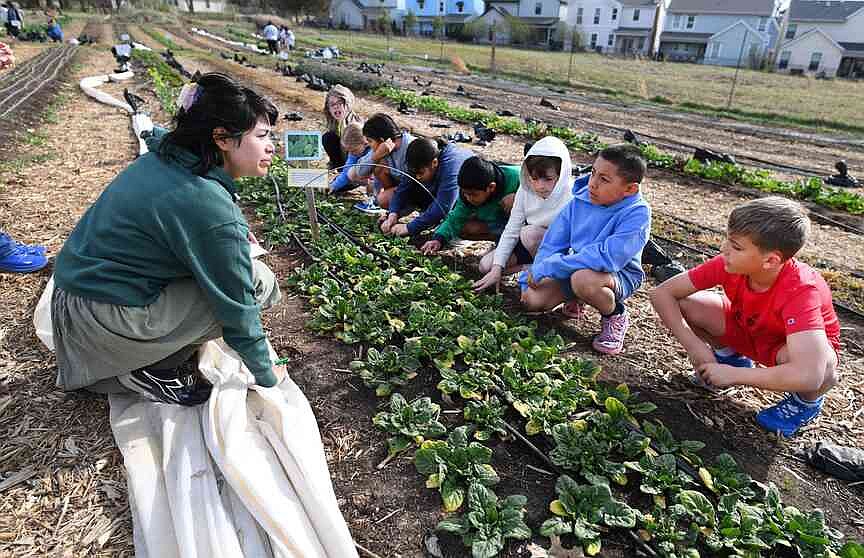 Apple Seeds Teaching Farm expanding in Northwest Arkansas, elsewhere in state | Northwest Arkansas Democrat-Gazette