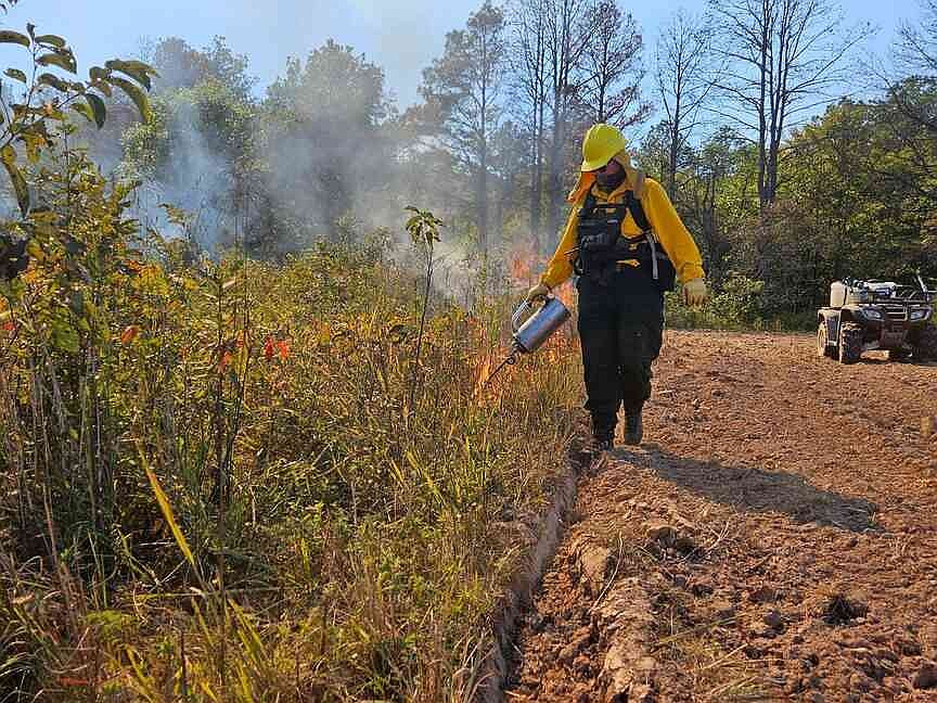 Selective burns benefit habitat Selective burns aid wildlife habitats