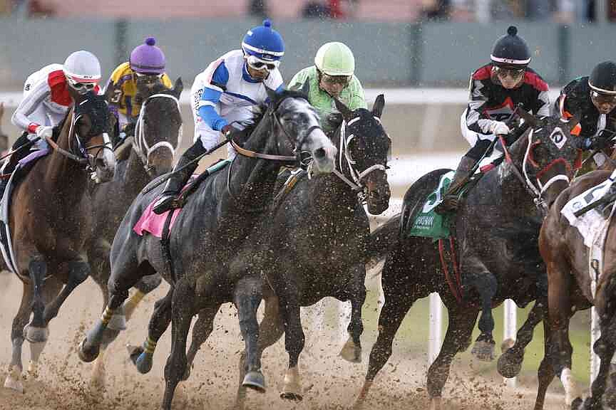 Roll On Big Joe headlines today’s $150K King Cotton Stakes