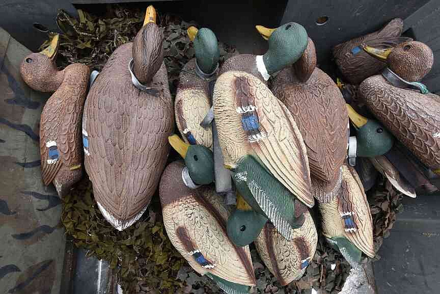 Russell Raspberry Decoy Old decoys get new use thanks to decoy adoption program | The Weekly Vista