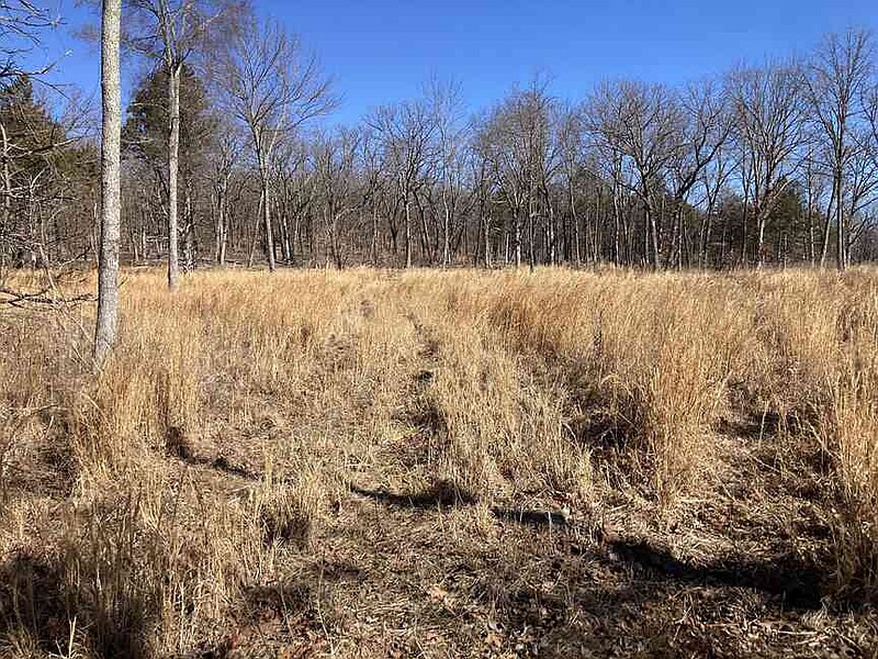 First Flip Ridge Pea Ridge National Military Park trail now a cycling haven | Westside ...