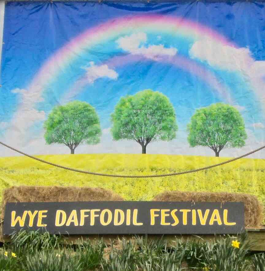 ARKANSAS SIGHTSEEING: Annual Wye daffodil festival greets the arrival of spring, in all its glory