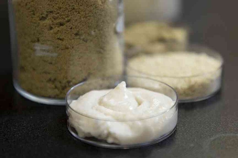 Rice-based cheese? Study points to possibility for new rice markets