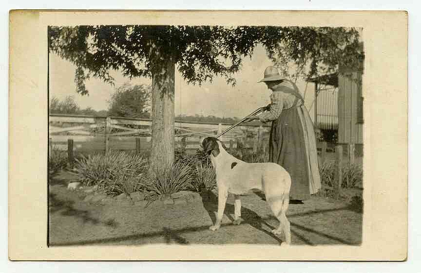 Arkansas Postcard Past: West Fork, circa 1910