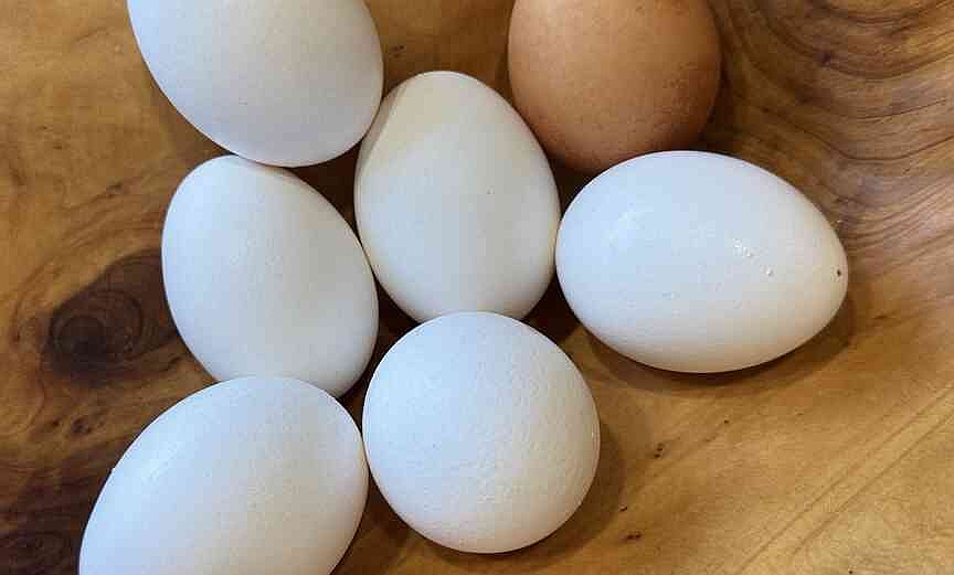 Egg prices rising from last month’s multiyear low; Arkansas poultry expert warns of uncertainty ahead