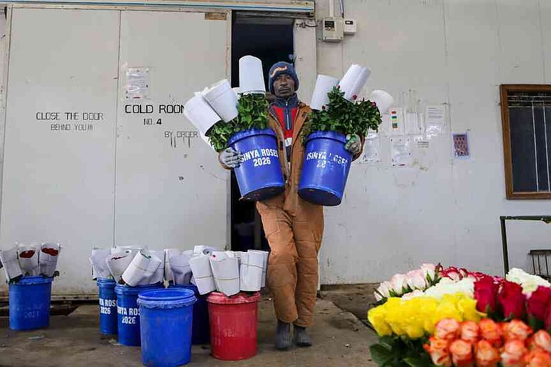 Isinya Roses Kenyan flower industry losing millions | Northwest Arkansas Democrat ...