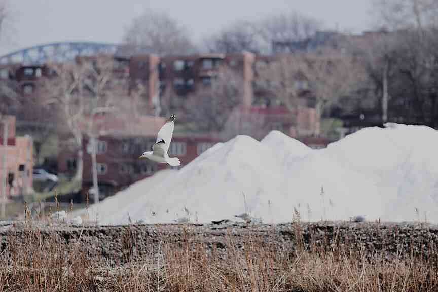arkansasonline.com - SUE OGROCKI, PATRICK AFTOORA-ORSAGOS and PATRICK WHITTLE The Associated Press - Mine seeing demand up for salt as winter lingers | Arkansas Democrat Gazette