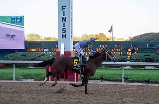 Renegade takes derby as Racing Festival of the South draws crowds, fashion and fast finishes at Oaklawn