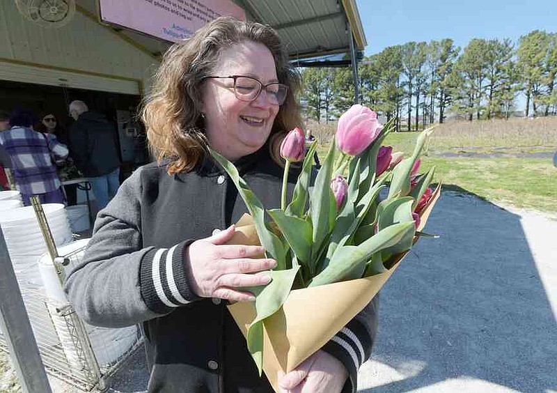 Tulip Springfield Tulips in bloom | The Arkansas Democrat-Gazette - Arkansas' Best News ...