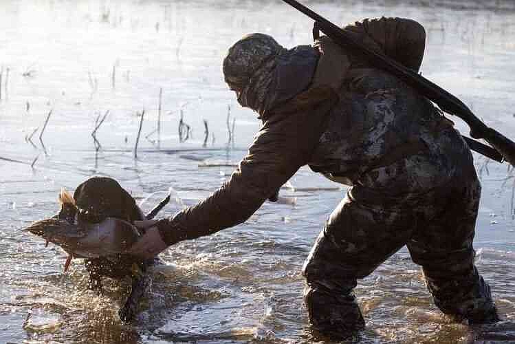 Missouri Department of Conservation sets 2026-27 migratory game bird, waterfowl seasons