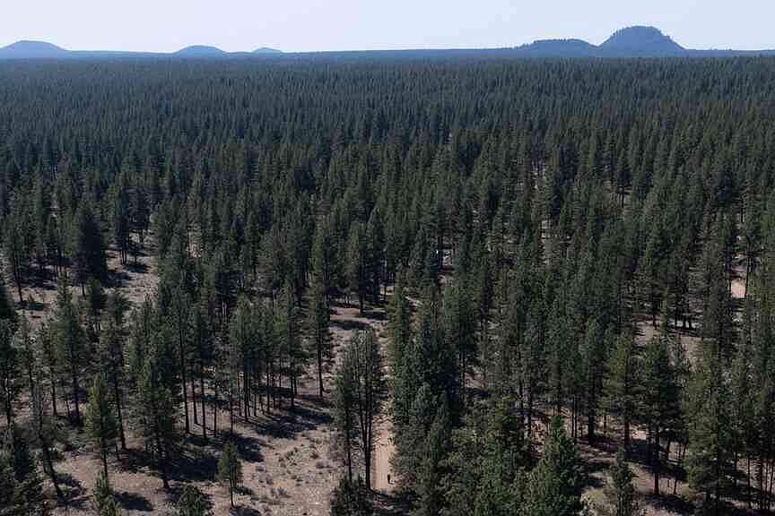 Utah to become Forest Service’s main office site