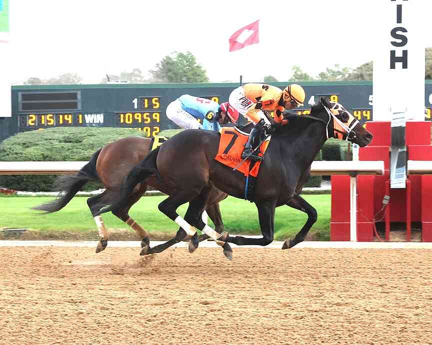 Fillies go first as Arkansas breeders chase ‘Rainbow’