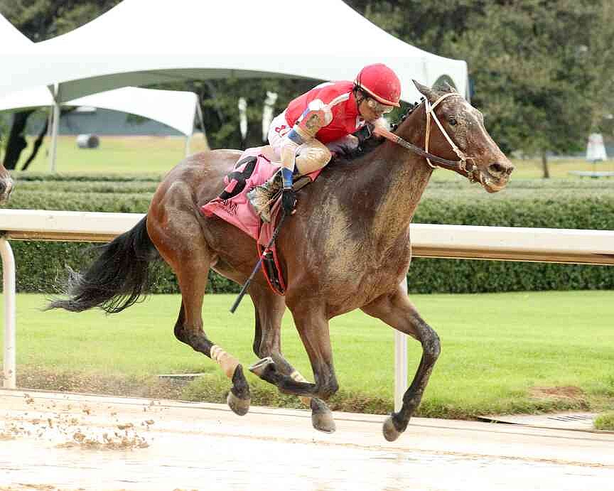 Seventies Music wins Rainbow with upbeat finish