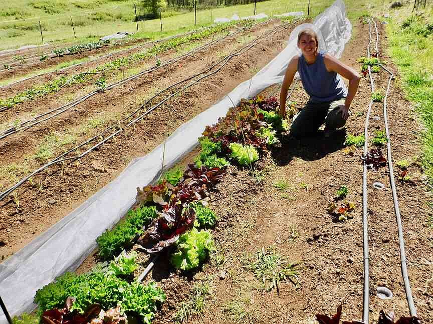 Magpie Meadows growing vegetables for farmers market