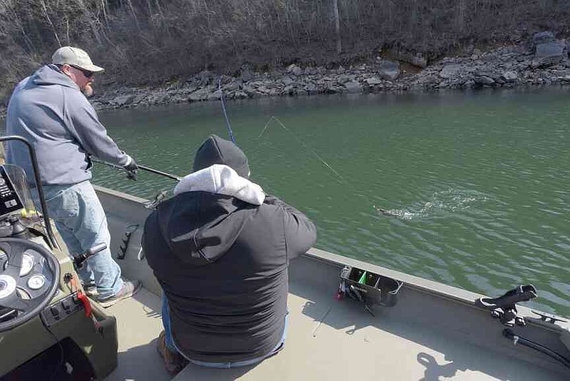 catching a beaver with fishing pole Dam - Beaver Dam Carbon Fiber Combo The mediumlight action makes it ideal for targeting crappie Jared Jeschke and son catch