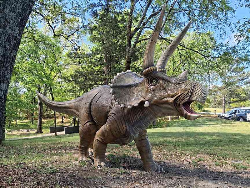 A replica of a Triceratops stands along the front walkway at Mid-America Science Museum as part of the museum's DinoTrek. (The Sentinel-Record/Will Livingston)