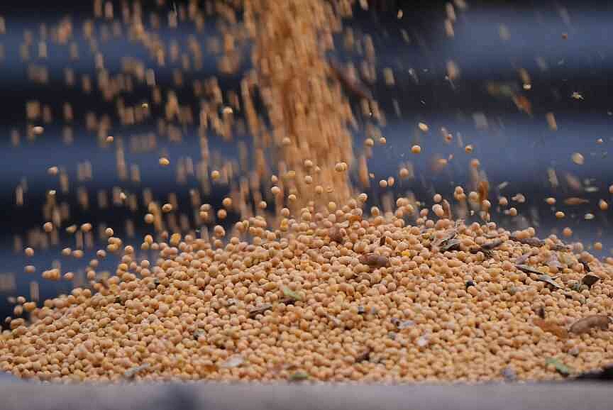 Soybean farmers in the Midwest facing pressure from tariffs, war