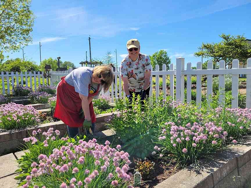 The Learning Fields at Chaffee Crossing plans spring plant sale, variety of learning opportunities
