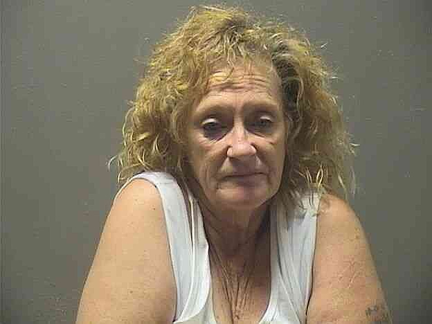 Hot Springs woman sought on felony theft charge also facing drug charges