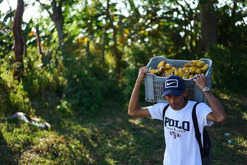 Cuban farmers feel strain of US energy blockade amid war
